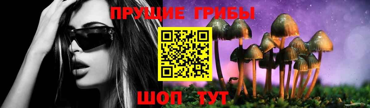 Галлюциногенные грибы Psilocybe  Вход с VPN  Красногорск 